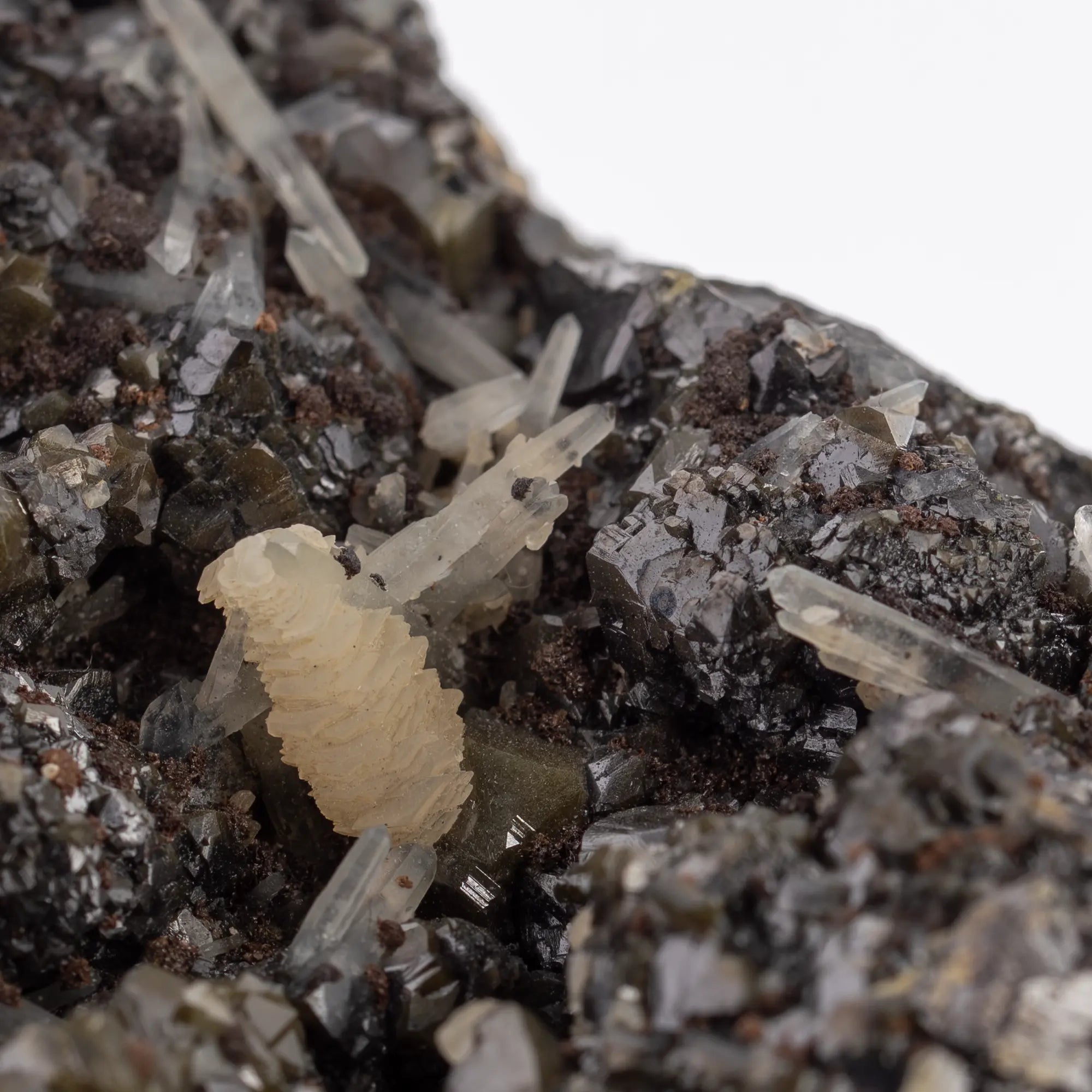 Galène cristaux sur sphalérite verte - Madan, Bulgarie - galene-cristaux-sur-sphalerite-madan-bulgarie-gal1 - CRISTAL SOURCES
