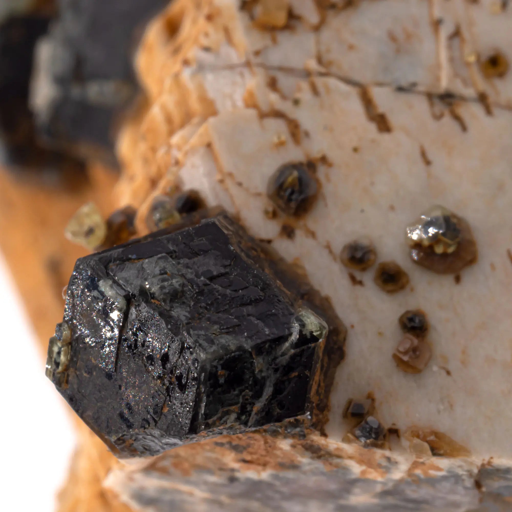 Grenat andradite var. mélanite - orthose - cristaux - Brute - CRISTAL SOURCES