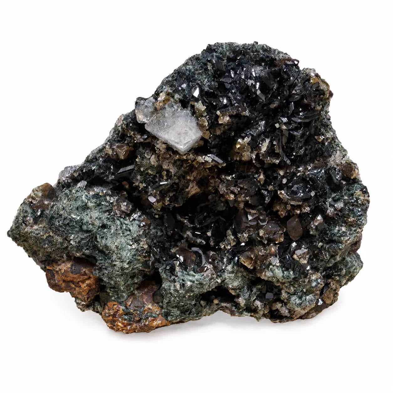 Pierre de collection en association de kulanite, wardite et lazulite de Stoneman Camp, Yukon, Canada, présentant une riche cristallisation sombre sur matrice naturelle.