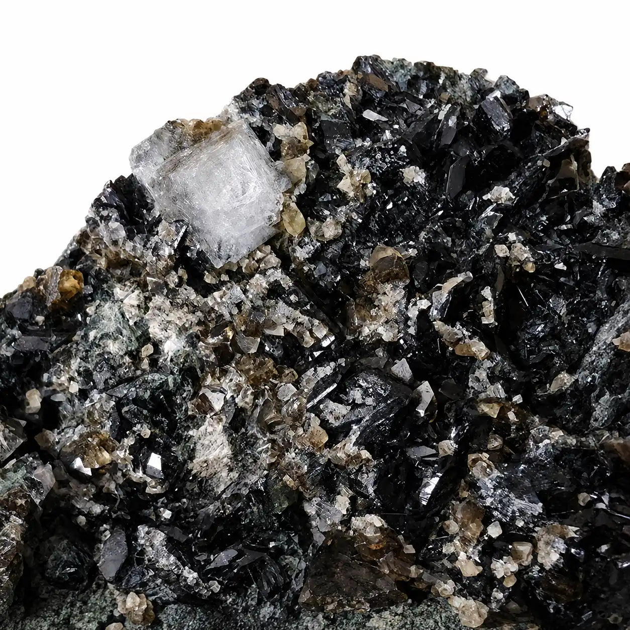 Macro de la cristallisation d'une association de kulanite, wardite et lazulite de Stoneman Camp, Yukon, Canada, révélant les détails des cristaux naturels et de la texture minérale.