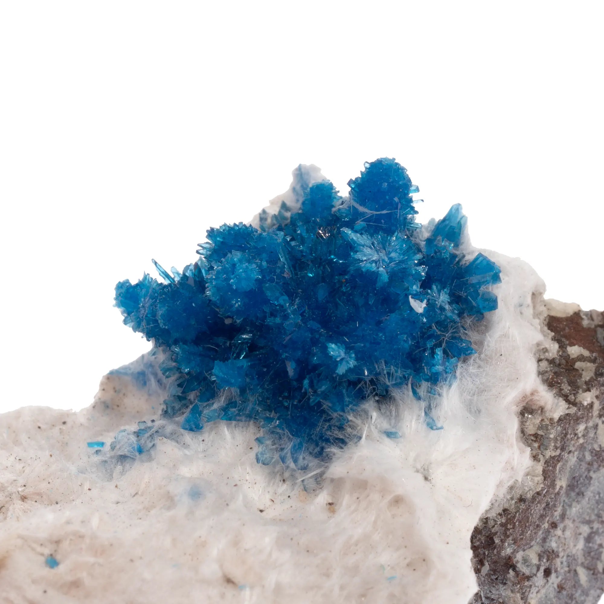 Specimen de pentagonite bleu électrique sur mordenite blanche avec gangue naturelle, Wagholi Inde
