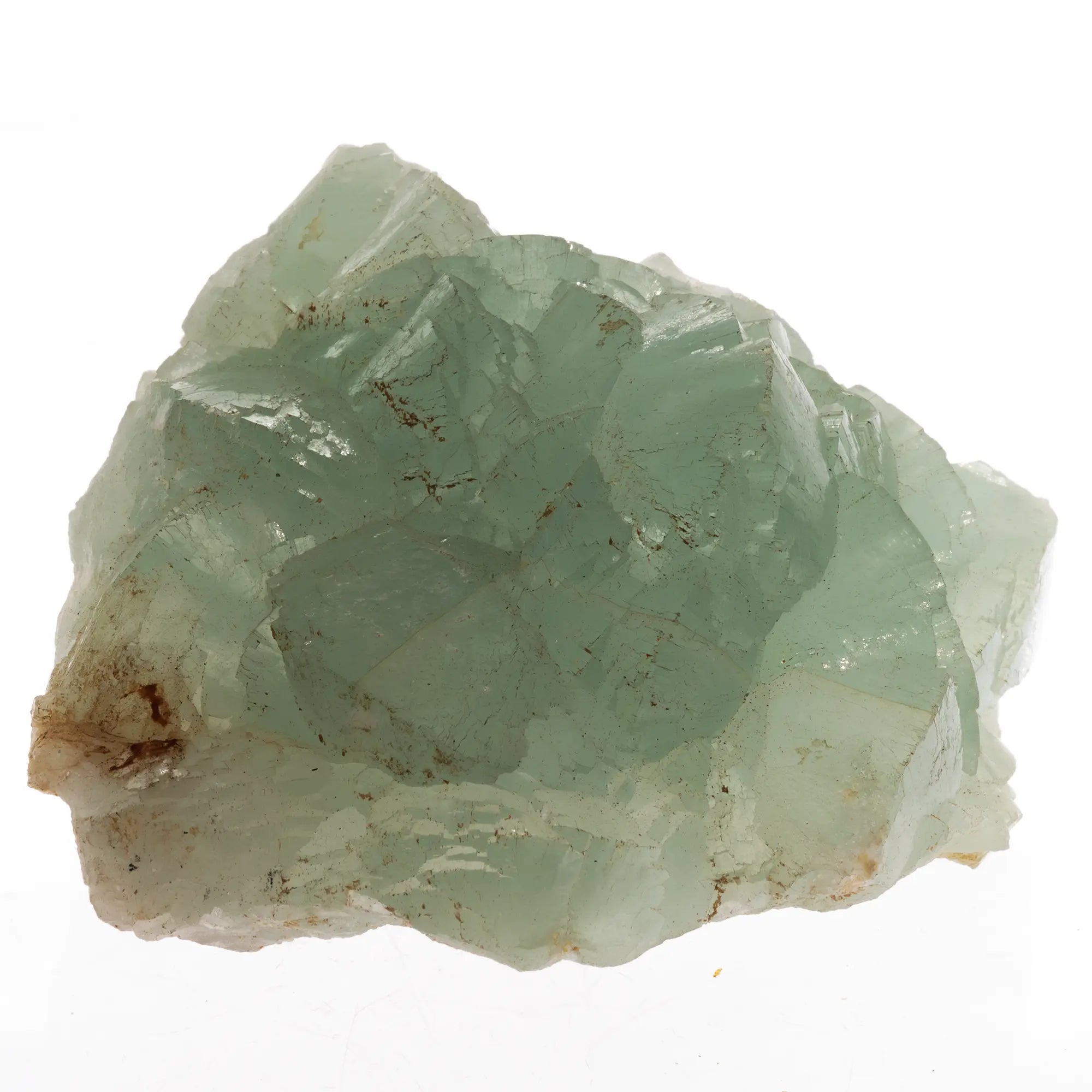 Prehnite verte brute Pakistan cristaux naturels collection minérale