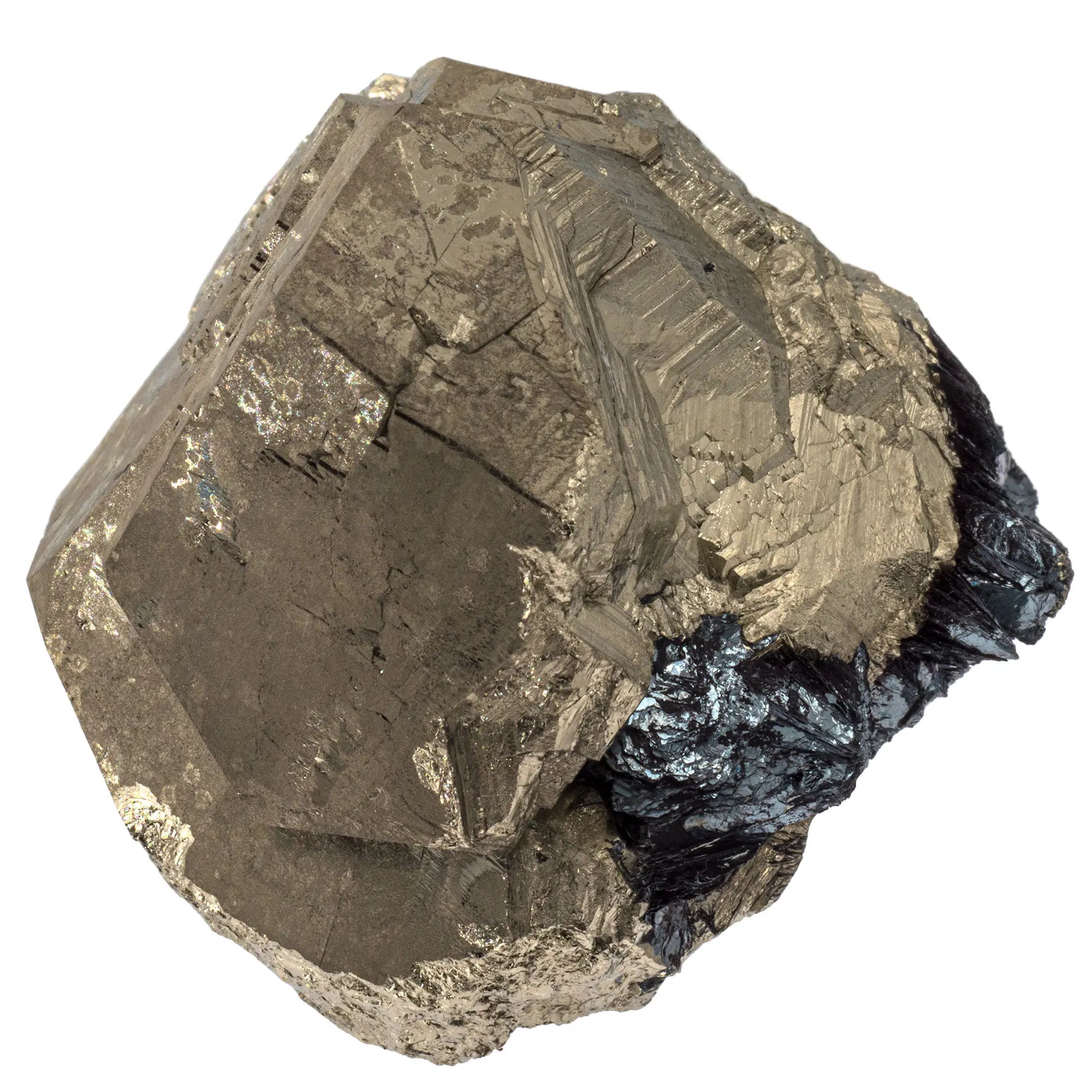 Pyrite cristal sur hématite - ile d'Elbe, Italie - CRISTAL SOURCES