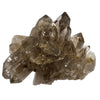 Quartz fumé cristaux avec rutile - Diamantina, Brésil - CRISTAL SOURCES