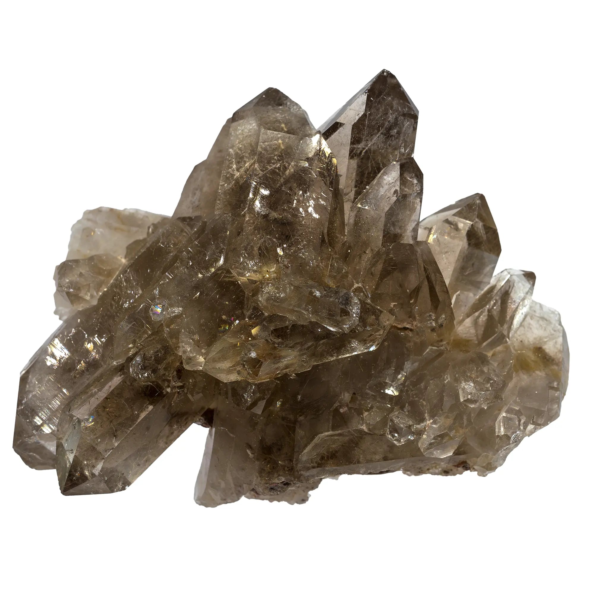 Quartz fumé cristaux avec rutile - Diamantina, Brésil - CRISTAL SOURCES