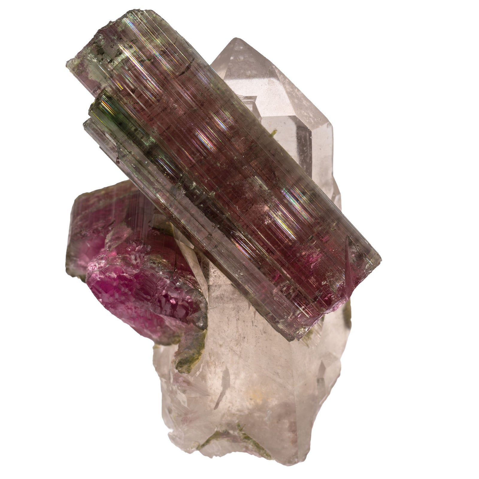 Tourmaline melon d'eau cristal sur quartz - Safira, Brésil - CRISTAL SOURCES