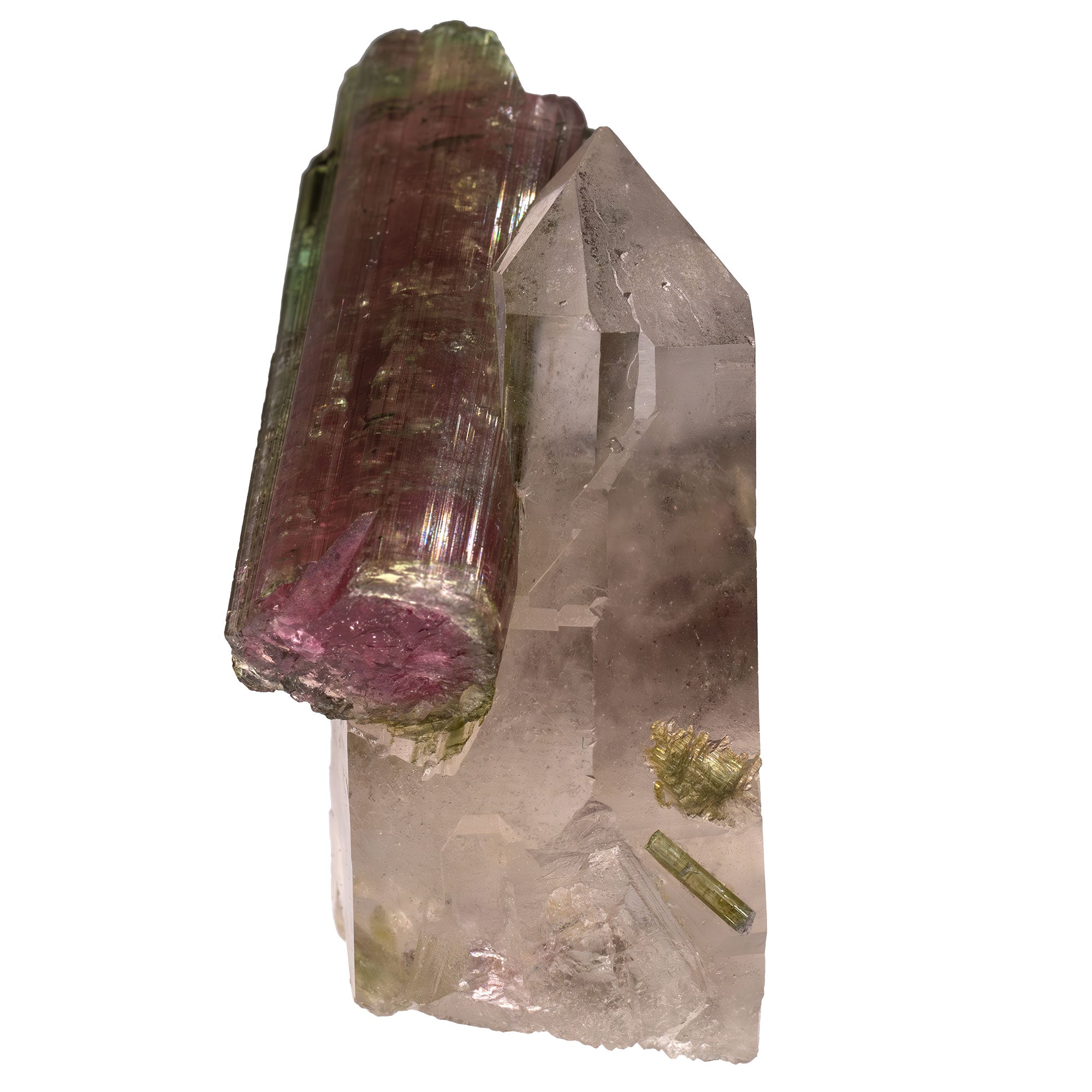 Tourmaline melon d'eau cristal sur quartz - Safira, Brésil - CRISTAL SOURCES