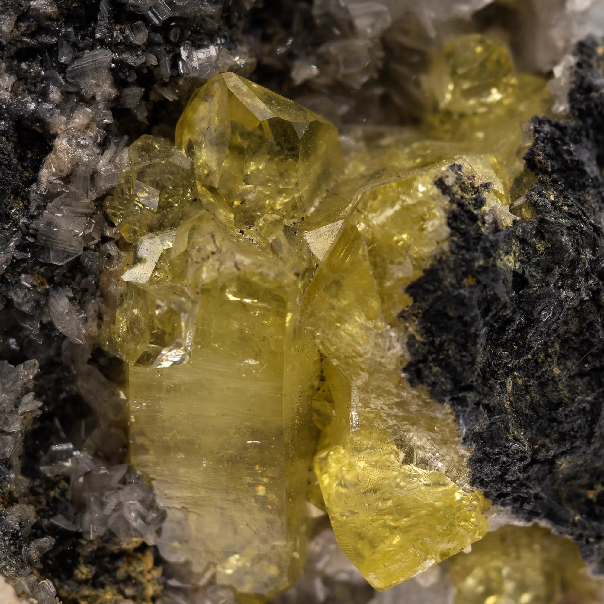 Anglesite & Cerussite sur gangue de Galène - Touissit - Maroc