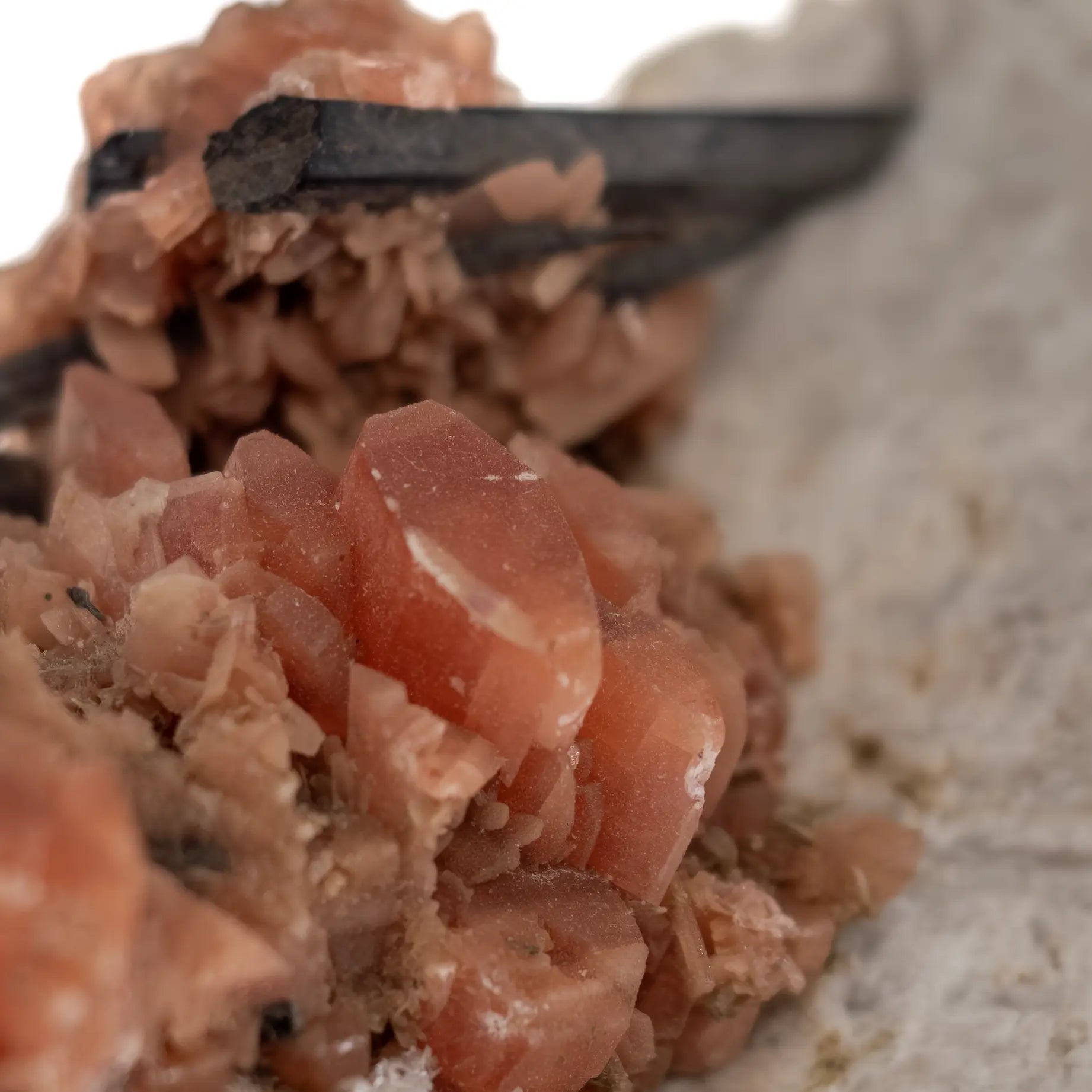 Serandite, Analcime & Aegirine – Carrière Poudrette, Mont Saint-Hilaire – Collection