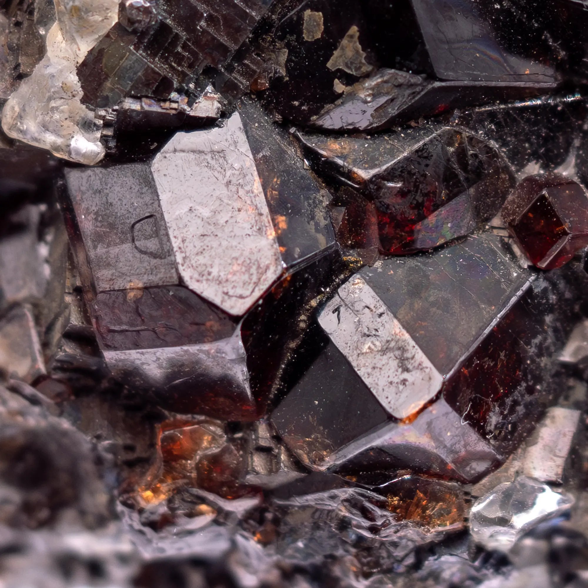 Grenat Spessartine cristaux sur Galène et Rhodonite - Australie - Brute - CRISTAL SOURCES