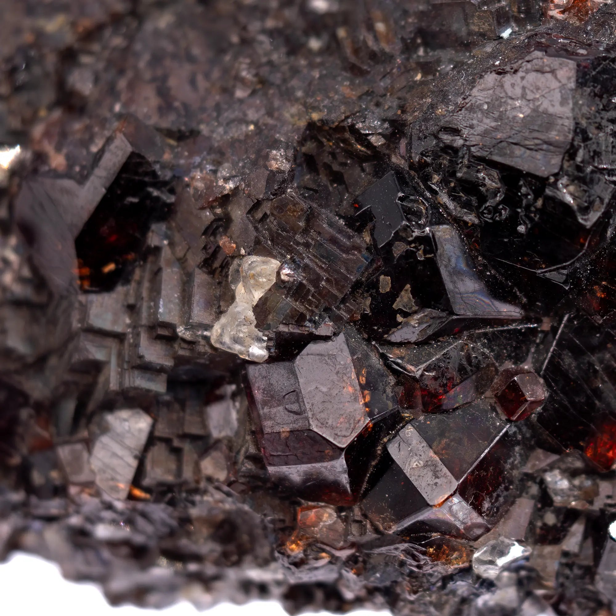 Grenat Spessartine cristaux sur Galène et Rhodonite - Australie - Brute - CRISTAL SOURCES