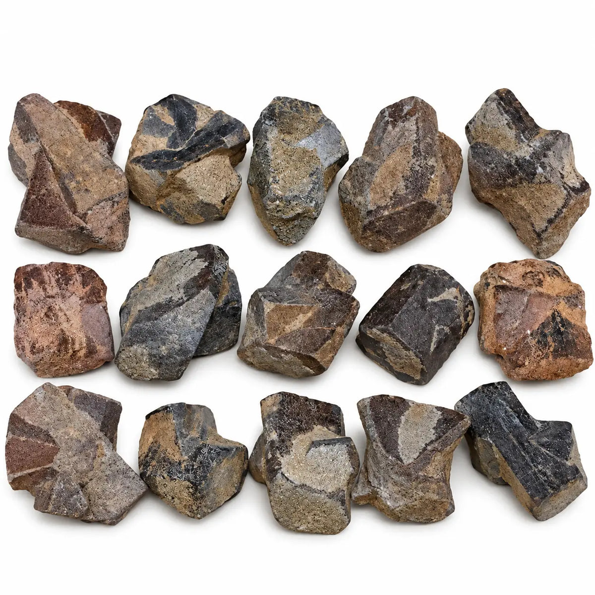Cristaux bruts de staurotide des États-Unis, de 1 à 2 cm, brun foncé avec des restes de gangue grise et brune