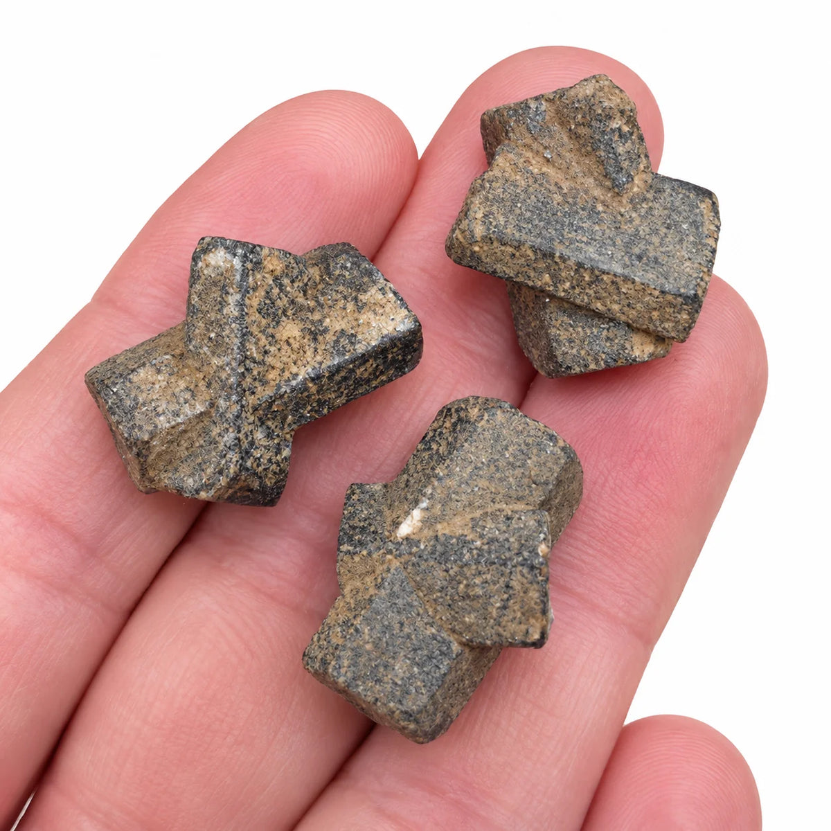 Trois staurotides de Baud tenues dans une main, montrant leurs cristaux maclés en croix de St André et leurs surfaces gris-brun