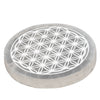 Fleur de vie selenite 8cm - recharge les minéraux - CRISTAL SOURCES
