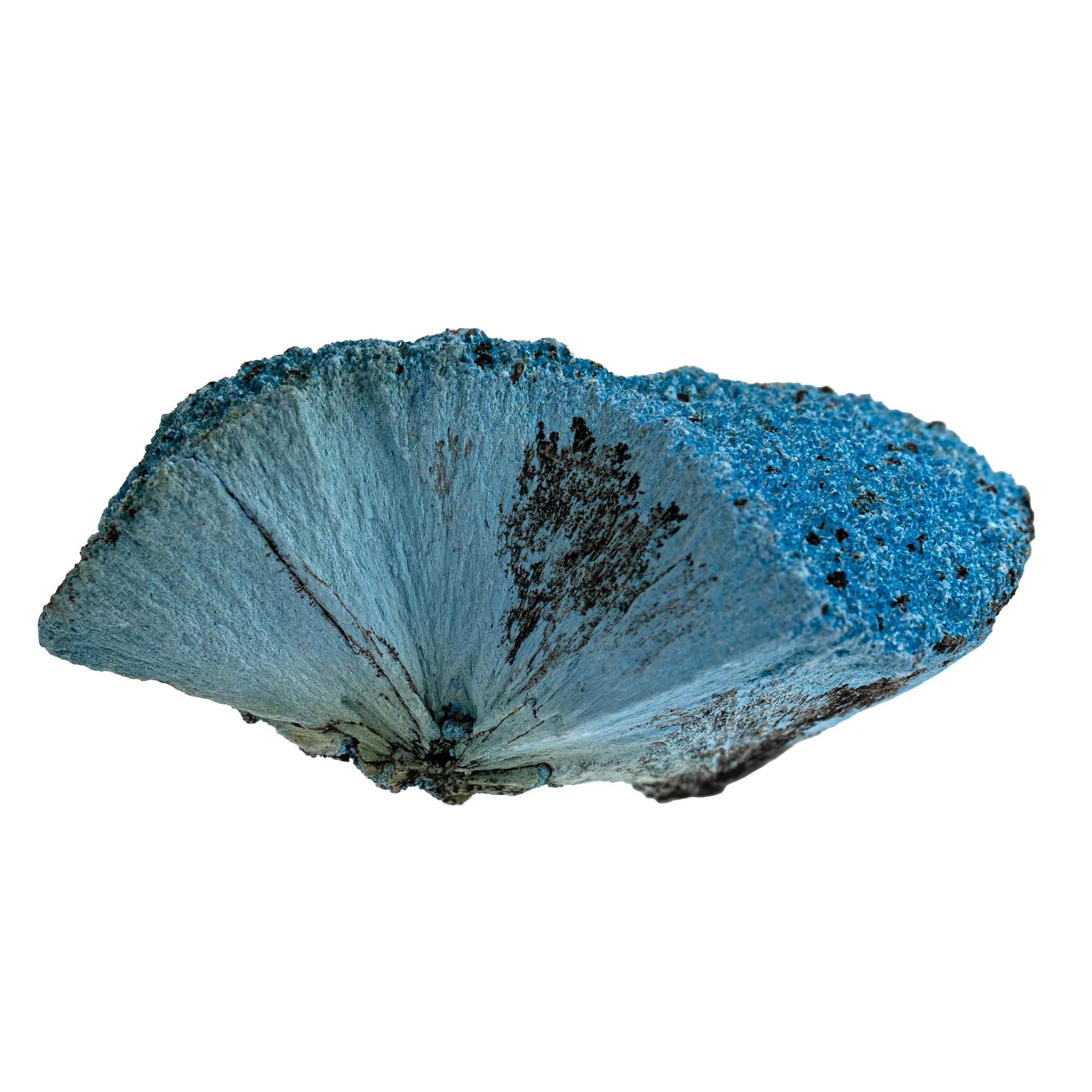 Shattuckite - pierre brute  - CRISTAL SOURCES