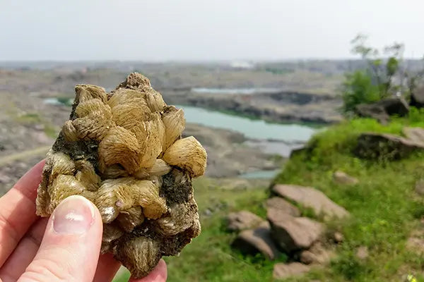 Druse de stilbite avec paysage au fond