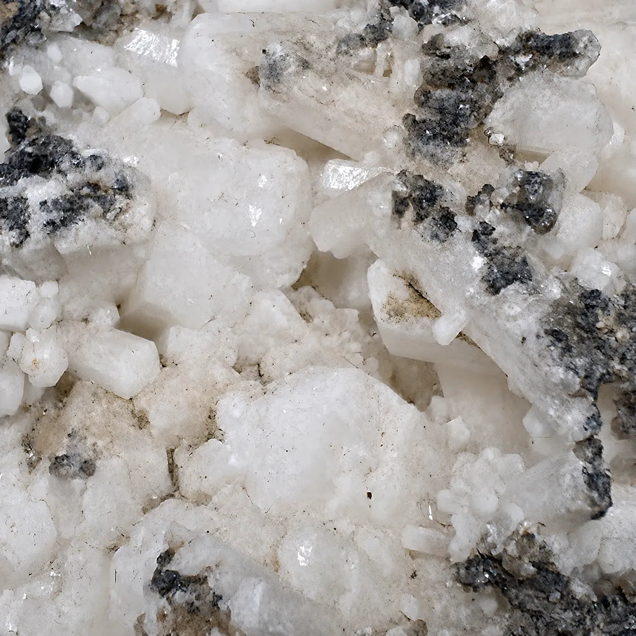 Macro des cristaux naturels de Tarnowitzite sur gangue provenant de Touissit, Maroc, révélant les détails de la cristallisation et de la texture minérale.