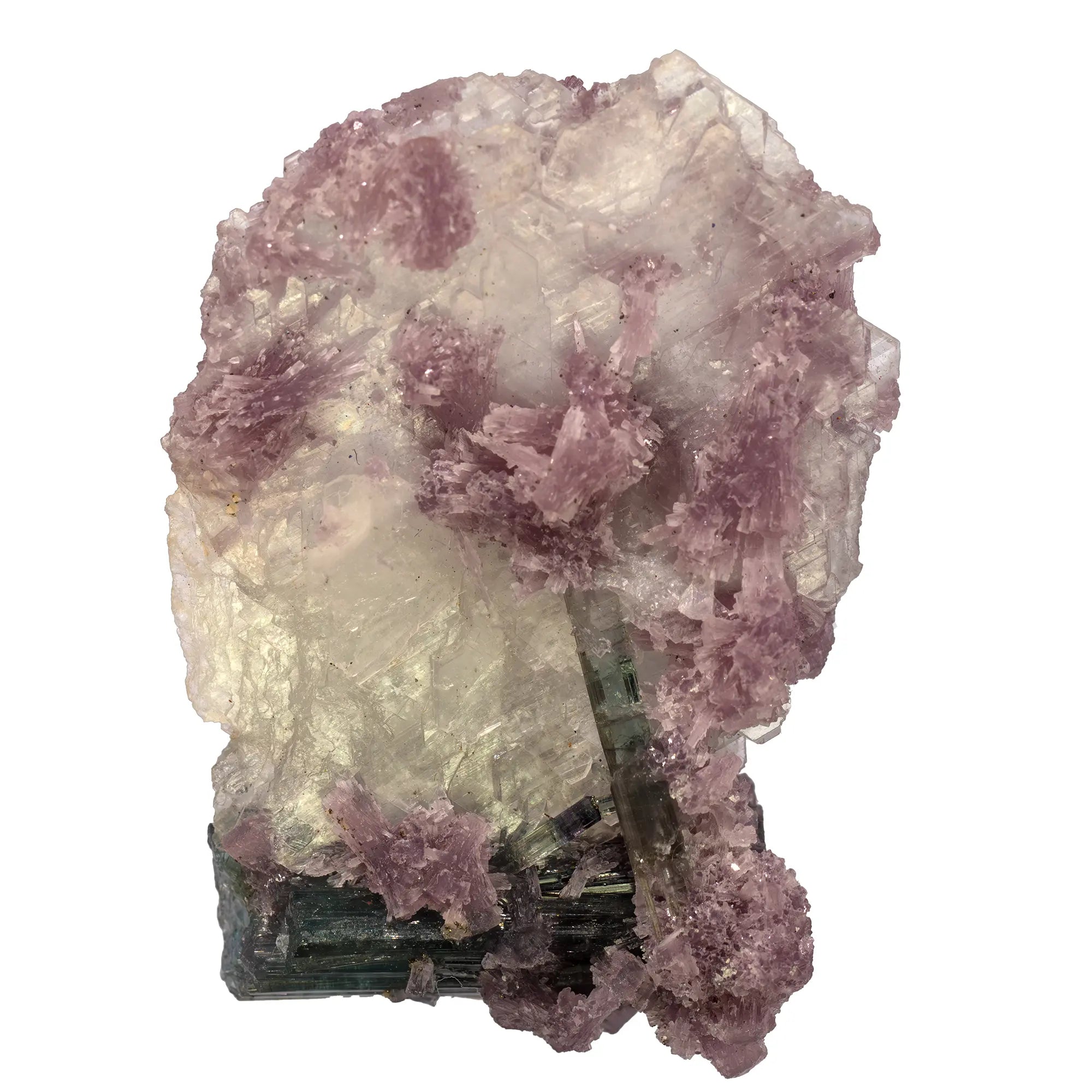 Tourmaline bleue et lépidolite sur albite - Safira, Brésil - collection - CRISTAL SOURCES