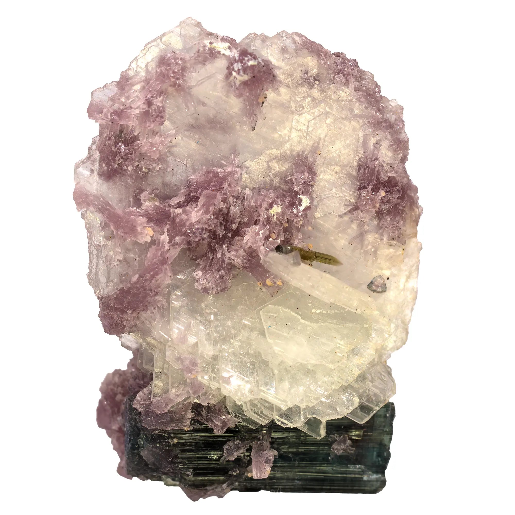 Tourmaline bleue et lépidolite sur albite - Safira, Brésil - collection - CRISTAL SOURCES