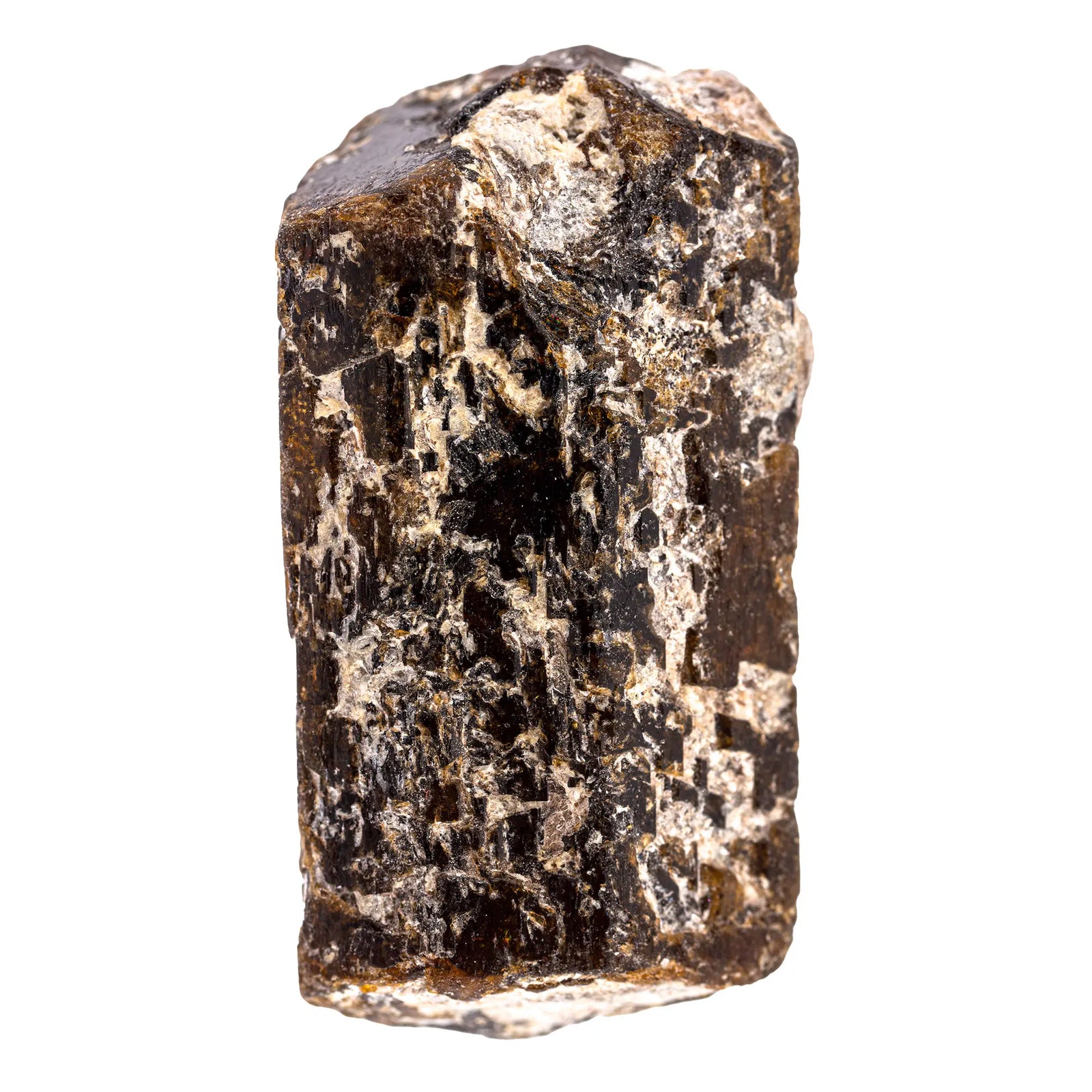 Tourmaline dravite - cristal - CRISTAL SOURCES