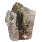 Cristal Tourmaline melon d'eau sur quartz - Coronel Murta