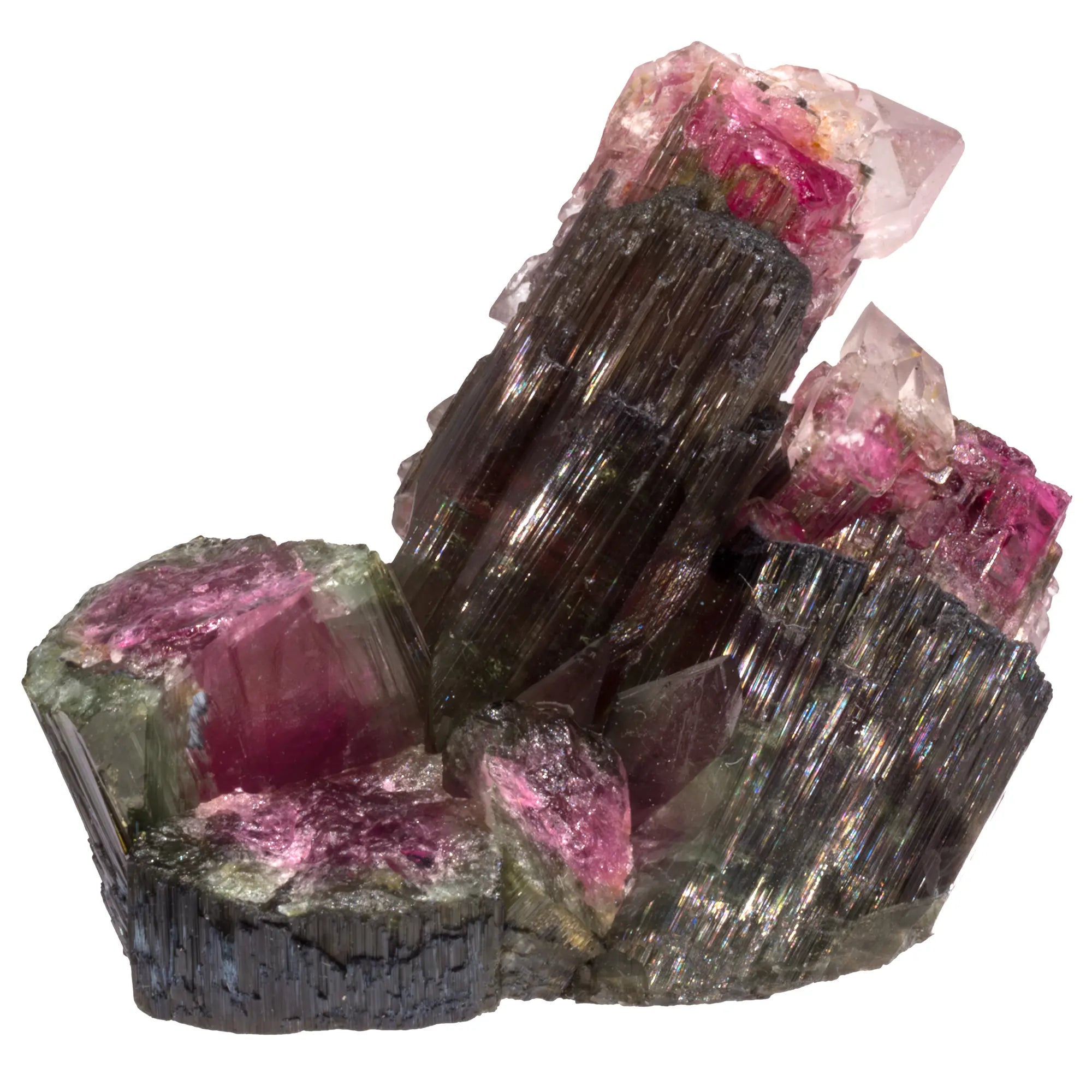 Tourmaline melon d'eau biterminée - Safira, Brésil - collection - CRISTAL SOURCES