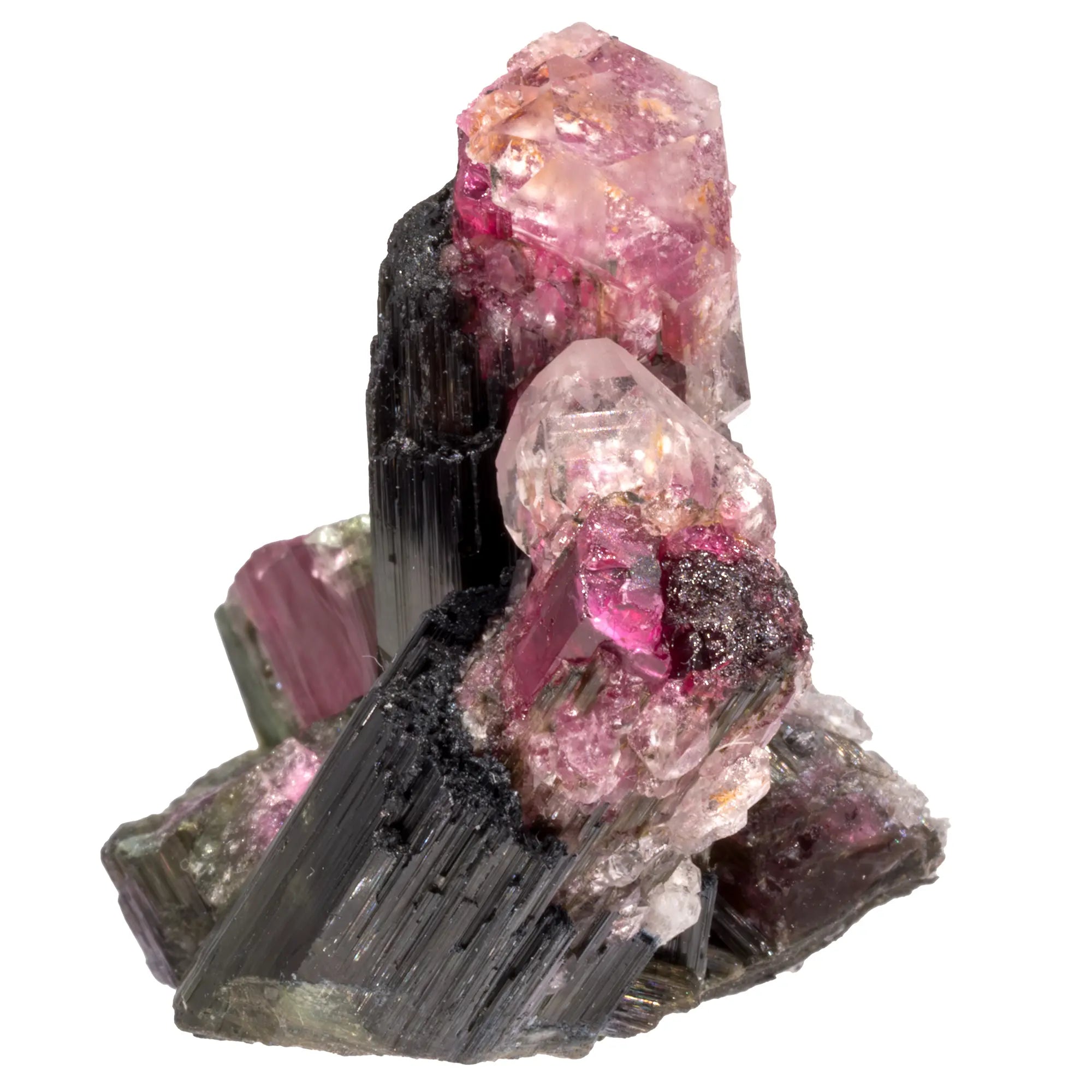 Tourmaline melon d'eau biterminée - Safira, Brésil - collection - CRISTAL SOURCES