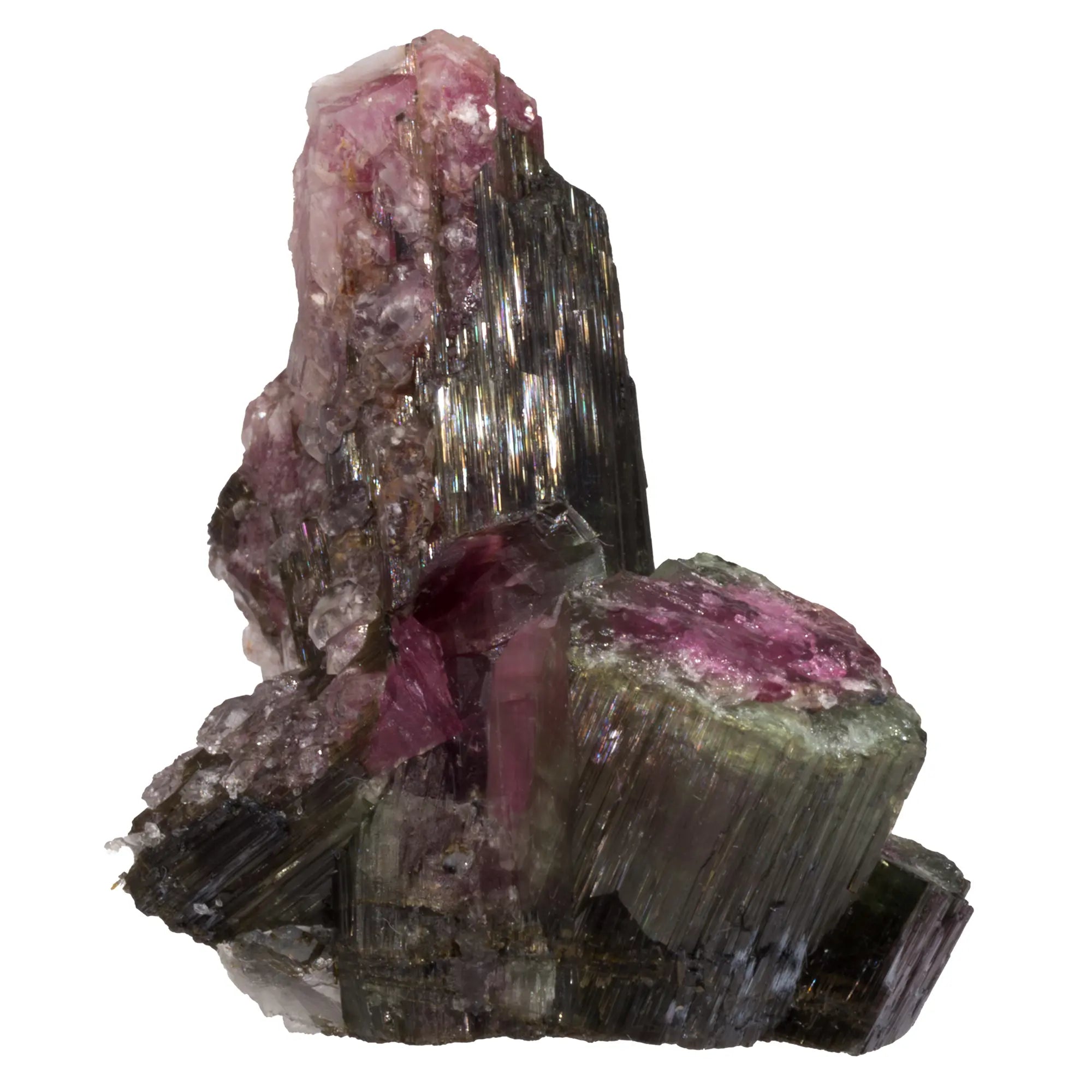 Tourmaline melon d'eau biterminée - Safira, Brésil - collection - CRISTAL SOURCES