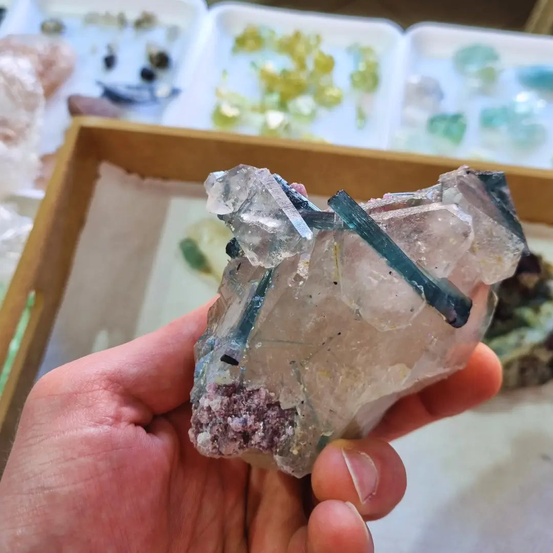 Cristaux de tourmaline bleue sur quartz tenus dans la main