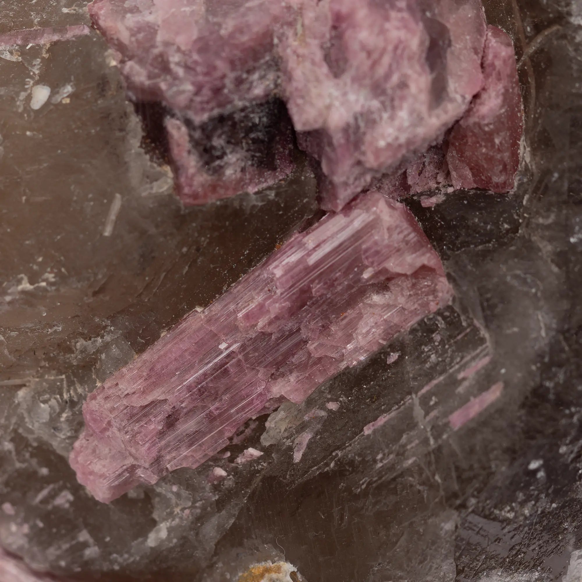 Tourmaline rose cristaux sur Quartz fumé biterminé - Brésil - 600gr