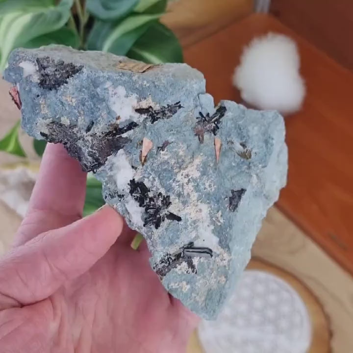 Neptunite et Joaquinite - San Benito, Californie, USA