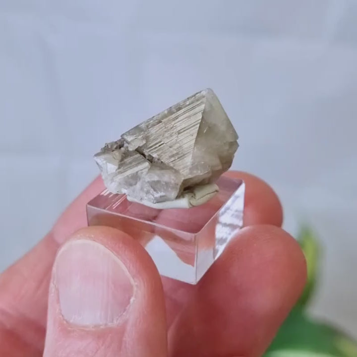 Wardite cristal brut - Yukon, Canada War1