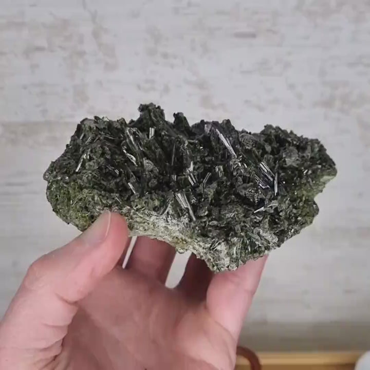 Épidote druse de cristaux - Bourg d'oisans, Alpes France EPI12