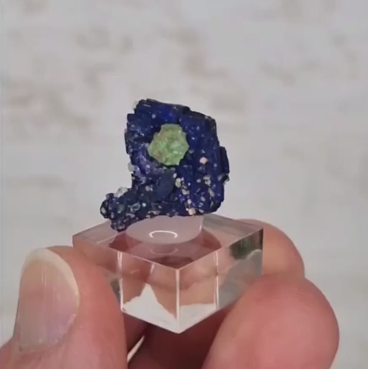 Cuprite sur cristal d'azurite - Chessy les mines, France - Azu20