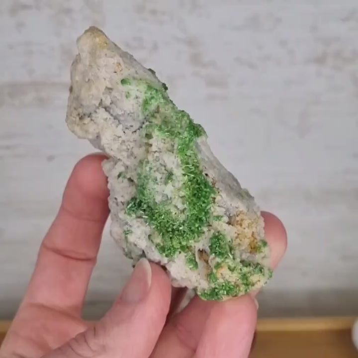 Pyromorphite cristaux sur gangue - Ussel, France - Pyro1