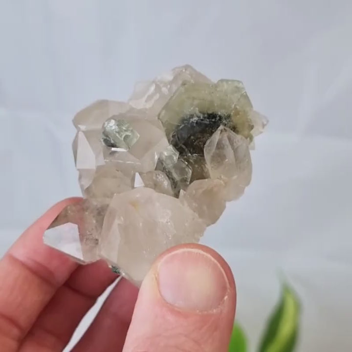 Apatite verte sur quartz - Panasqueira, Portugal
