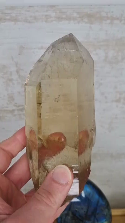 Citrine naturelle grand cristal brut - Brésil - 15.5cm - CIT1