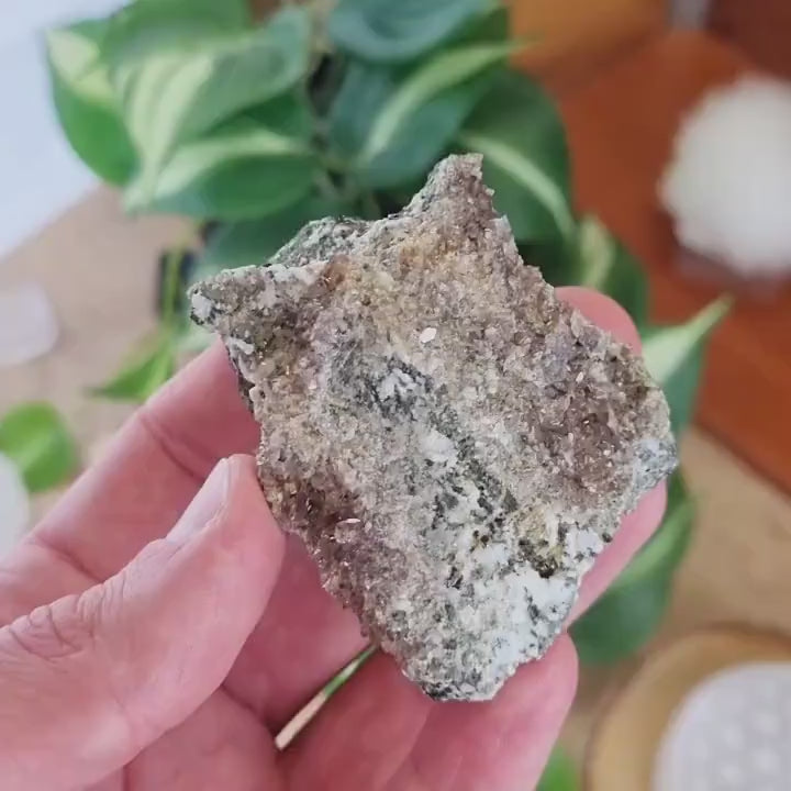 Axinite cristaux sur gangue - Goppenstein, Suisse
