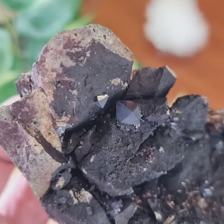 Cuprite cristaux sur gangue - Ray mine, Etats-Unis