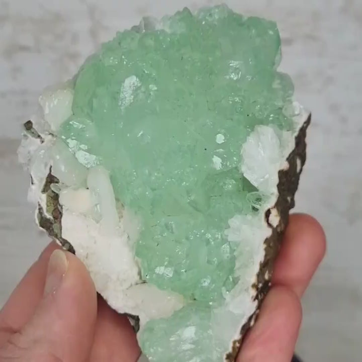 Druse Aphophyllite verte avec Stilbite sur gangue - Apo25