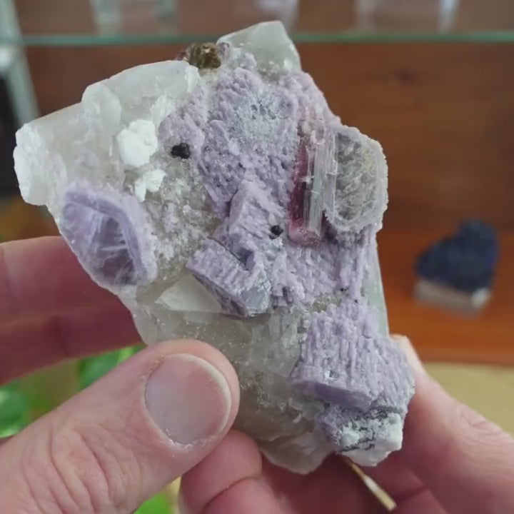 Tourmaline rose cristaux avec lépidolite sur quartz - Brésil